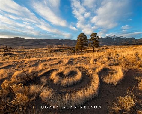 Patterns Great Sand Dunes Co1417 Gary Alan Nelson Photography