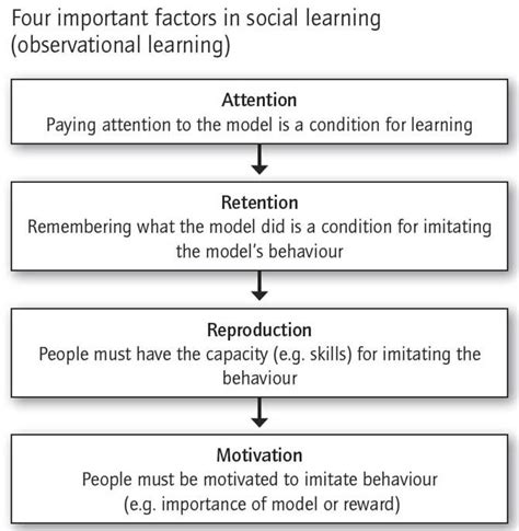 Bandura Social Learning Theory - DamienqoKaufman