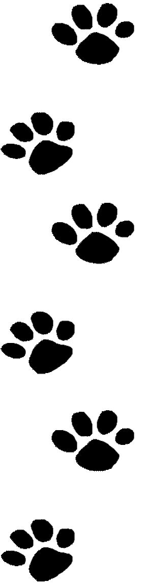 Wildcat Paw Print Image Clipart Best