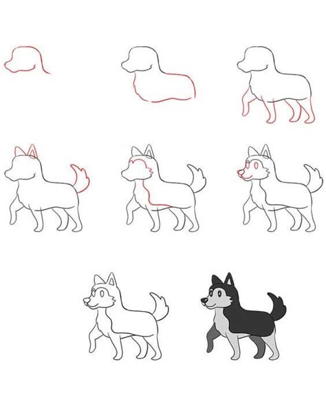 Id Es De Dessin Chien Husky Comment Dessiner Chien Husky