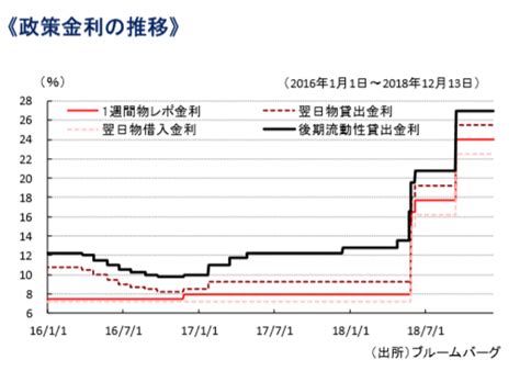 トルコリラ円の2020年見通しと稼げる投資法【元為替ディーラーが解説】｜fx初心者講座