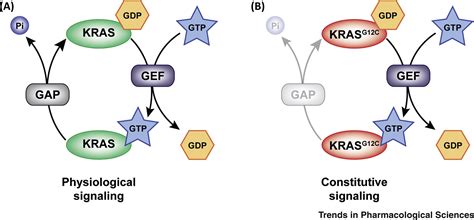 Targeting Mutant Kras For Immunogenic Cell Death Induction Trends In