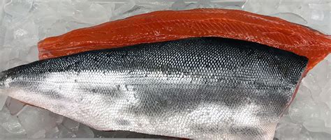 Fresh Wild Pacific Salmon Fillet • Harbor Fish Market