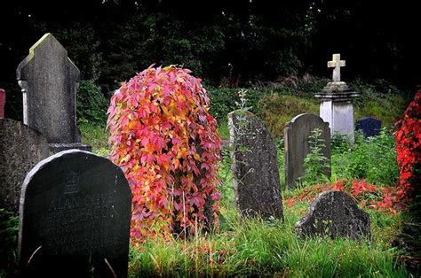 Pin By Liz Mcleod On Autumn Cemetery Monuments Cemeteries London