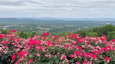 Exploring Carter Mountain Apple Orchard Scenic Views Fresh Apples