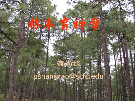 复林木育种学遗传学基础4word文档在线阅读与下载无忧文档