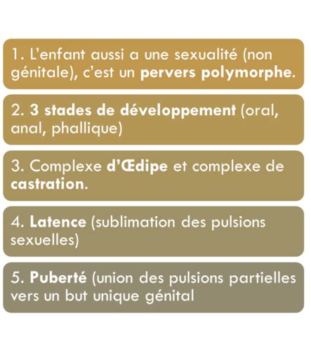 Ape2 Sexualité Infantile Et Stades Psychosexuels Flashcards Quizlet