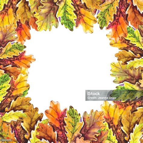 Oak Leaf Frame Stock Illustration Download Image Now Autumn Autumn