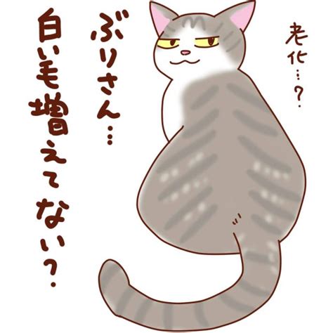 白髪 Ediary 猫と酒を愛す独女の絵日記