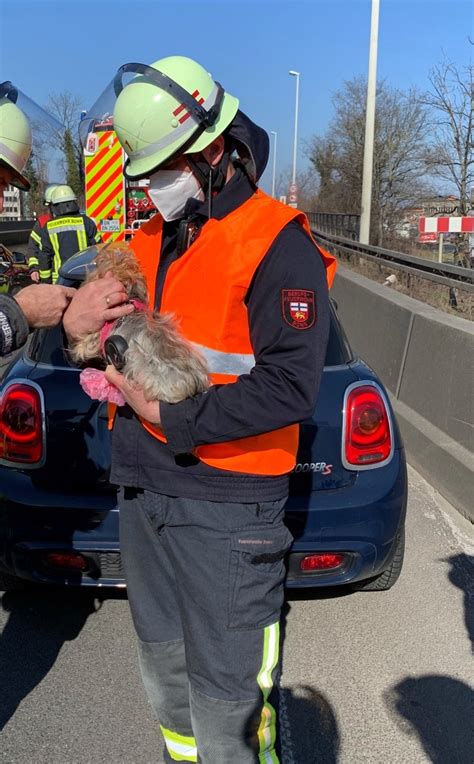 FW BN Verkehrsunfall Auf Der BAB565 Zwei Verletzte Personen