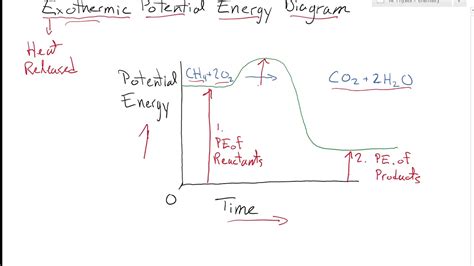 Exothermic Potential Energy Diagram 2020 03 26 17 50 17 Youtube