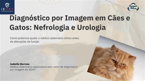 Ultrassonografia Em C Es E Gatos By Isabelle Barroso On Prezi