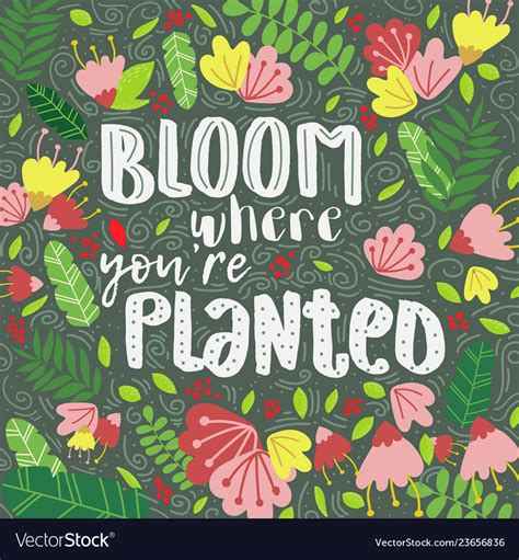 Lettering Bloom Where You Are Planted Decor Vector Image