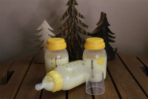 Reborn Baby Doll Fake Breast Milk Bottle Set Sealed Medela Etsy