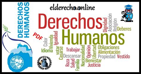 Promover Respetar Proteger Y Garantizar Los Derechos Humanos