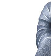 Amazon Diameter Uncircumcised Thick Dildo Inch Dual Density Silicone Uncut Huge