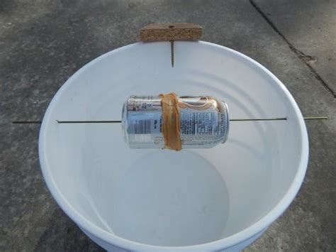 Homemade Mouse Trap Humane Bucket Trap Homemade Mouse Traps Mouse