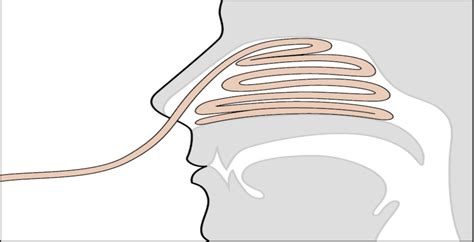 Anterior nasal packing - DarmanX Academy