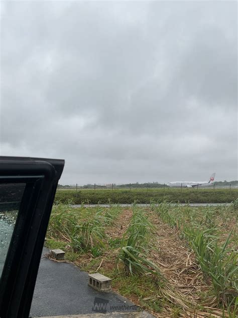 雨☔が降って来ました。 勢いは落ちました 沖縄県宮古島市 🪸coral🪸 ウェザーニュース