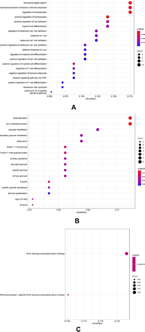 Go Term Enrichment Analysis Of Degs A Biological Process B