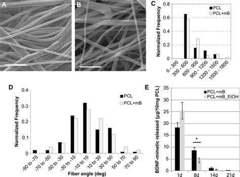 Microstructural Characterization Of Electrospun Pcl Scaffolds Sem