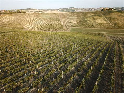 Gran Monferrato Citt Europea Del Vino Gran Monferrato