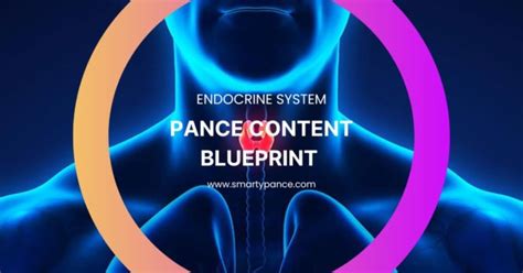 Smarty Pance Endocrine System Content Blueprint And Study Guide