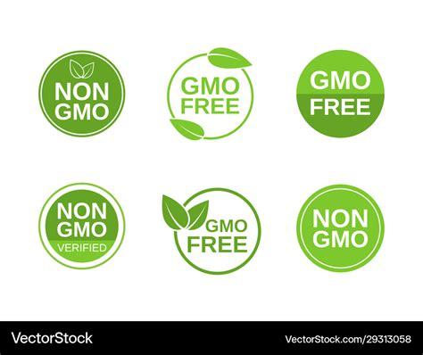 Non Gmo Label Set Gmo Free Icons No Gmo Design Vector Image