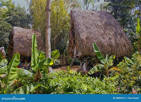 Tribal Houses Stock Image Image Of Roofs Construction 4886619