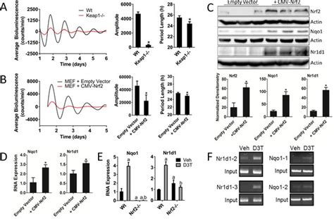 NRF2 Regulates Core And Stabilizing Circadian Clock Loops Coupling