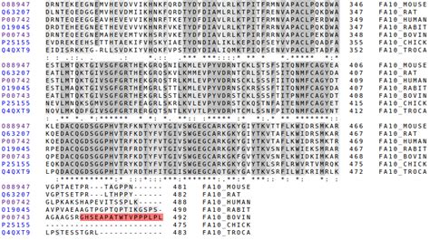 Sbi Structural Bioinformatics