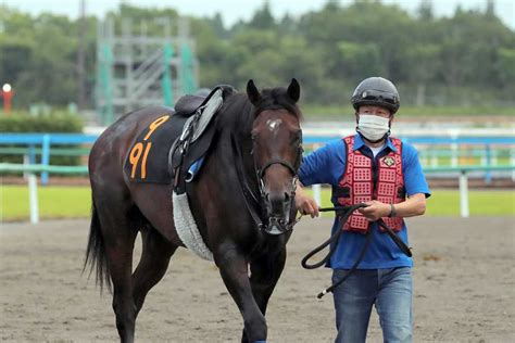 ノースブリッジが美浦トレセン在厩1000日の節目を迎える サンスポzbat