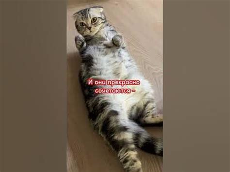 Волшебное слово - YouTube