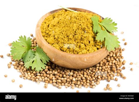 Coriander seeds, leaves and powder isolated Stock Photo - Alamy