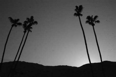 Free Images Tree Silhouette Cloud Black And White Architecture