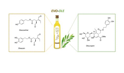 Nutrients Free Full Text Enhanced Nutraceutical Properties Of Extra Virgin Olive Oil Extract