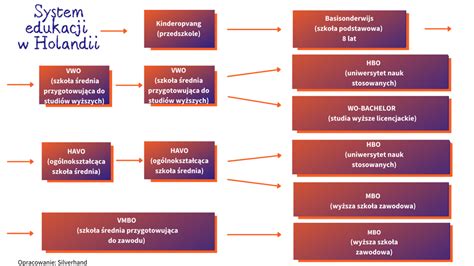 System Edukacji W Holandii Silverhand