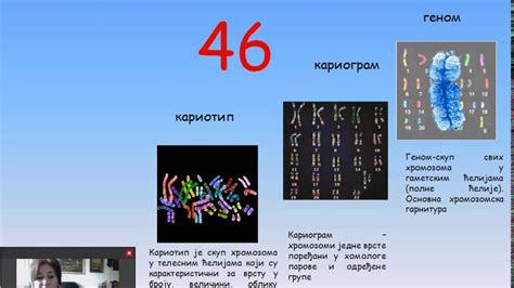 Хромозоми човека - YouTube