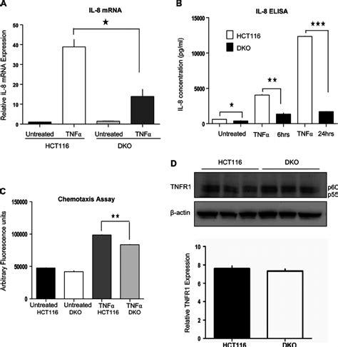 Hct Double Knockout Dko Cells Exhibit Lower Il Secretion And