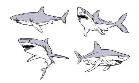 Hand Drawn Shark Vector Art, Icons, and Graphics for Free Download