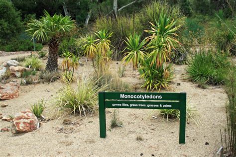 Australian National Botanic Gardens - Top Ten Garden