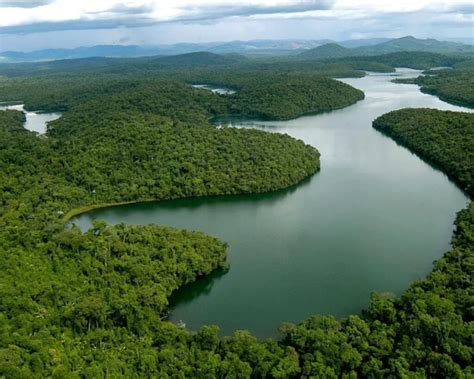 Dias Surpreenda Se A Beleza Natural Do Parque Estadual Do Rio