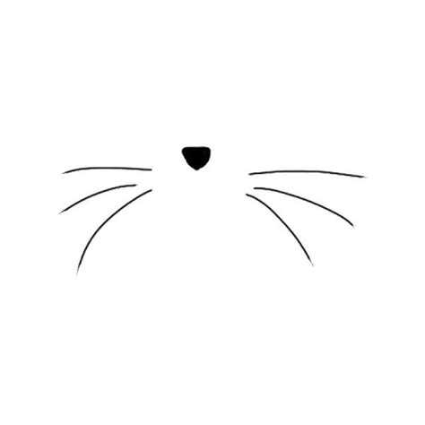 Cat Whiskers Clipart For Art Projects