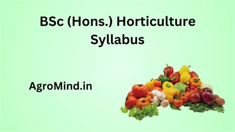 Bsc Hons Horticulture Syllabus All Semesters Agromind
