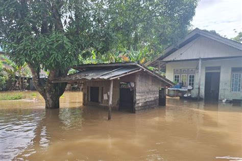 Puluhan Rumah Fasilitas Umum Terendam Banjir Di Kapuas Hulu Kalbar