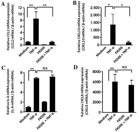 Tacrolimus Fk Suppresses Tnf Induced Ccl Mcp And Cxcl Ip