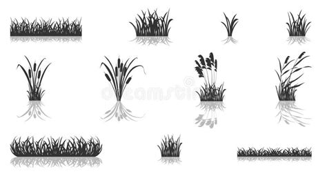 Swamp Grass Silhouette With Reeds Is Mirrored Set Of Vector