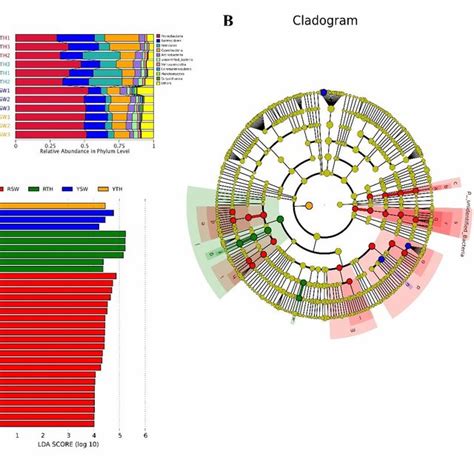 A Upgma Cluster Tree Analysis Based On The Unweighted Unifrac