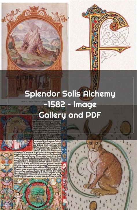 Illuminated Manuscript Splendor Solis Alchemy 1582 Image Gallery And