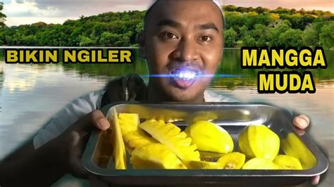 BIKIN NGILER Mangga Muda Nanas Madu Kedondong ASMR KULINER